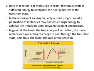 2. Rate of reaction: For molecules to react, they must contain
sufficient energy to overcome the energy barrier of the
transition state.
• In the absence of an enzyme, only a small proportion of a
population of molecules may possess enough energy to
achieve the transition state between reactant and product.
• In general, the lower the free energy of activation, the more
molecules have sufficient energy to pass through the transition
state, and, thus, the faster the rate of the reaction.
 