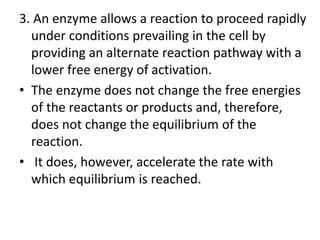 3. An enzyme allows a reaction to proceed rapidly
under conditions prevailing in the cell by
providing an alternate reaction pathway with a
lower free energy of activation.
• The enzyme does not change the free energies
of the reactants or products and, therefore,
does not change the equilibrium of the
reaction.
• It does, however, accelerate the rate with
which equilibrium is reached.
 