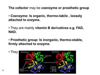 Prosthetic Group Examples ENZYMES.pptx