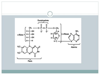 Enzymes structure and function struc.pptx