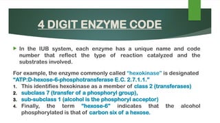 Enzymespptx introduction and brief description | PPTX