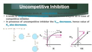 Enzymespptx introduction and brief description | PPTX