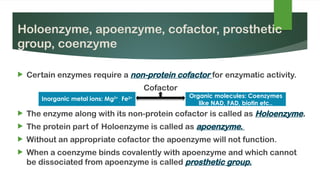 Enzymespptx introduction and brief description | PPTX