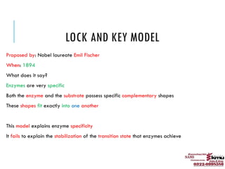 enzymes slides easy way for students .pptx