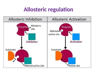 enzymes( nomenclature, types, mechanism and factor of the enzyme action ...
