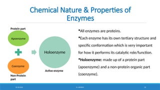 Comprehensive Overview of Enzymes: Structure, Function, and ...