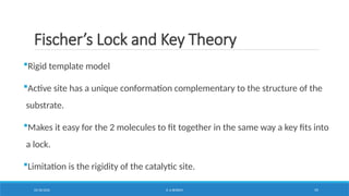 Comprehensive Overview of Enzymes: Structure, Function, and ...