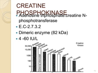 CREATINE
PHOSPHOKINASE
 Adenosine triphosphate:creatine N-
  phosphotransferase
 E.C-2.7.3.2
 Dimeric enzyme (82 kDa)
 4 -60 IU/L




                                       13
 