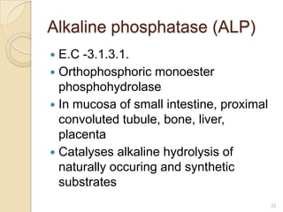 Alkaline phosphatase (ALP)
 E.C -3.1.3.1.
 Orthophosphoric monoester
  phosphohydrolase
 In mucosa of small intestine, proximal
  convoluted tubule, bone, liver,
  placenta
 Catalyses alkaline hydrolysis of
  naturally occuring and synthetic
  substrates
                                           22
 