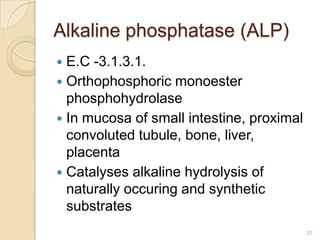 Alkaline phosphatase (ALP)
 E.C -3.1.3.1.
 Orthophosphoric monoester
  phosphohydrolase
 In mucosa of small intestine, ...