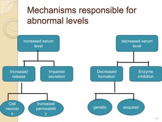 Mechanisms responsible for
           abnormal levels

          Increased serum                      decreased serum
                level                                level




  Increased           Impaired     Decreased           Enzyme
    release           excretion    formation          inhibition




 Cell           Increased
necrosi         permeabilit       genetic      acquired
  s                  y
                                                                   33
 