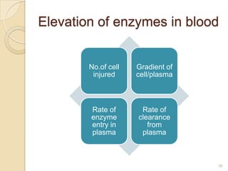 Elevation of enzymes in blood


        No.of cell   Gradient of
         injured     cell/plasma



        Rate of       Rate of
        enzyme       clearance
        entry in        from
        plasma        plasma



                                   36
 