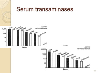 Serum transaminases




                      38
 