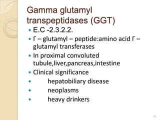 Gamma glutamyl
transpeptidases (GGT)
 E.C -2.3.2.2.
 Γ – glutamyl – peptide:amino acid Γ –
  glutamyl transferases
 In proximal convoluted
  tubule,liver,pancreas,intestine
 Clinical significance
       hepatobiliary disease
       neoplasms
       heavy drinkers

                                          40
 