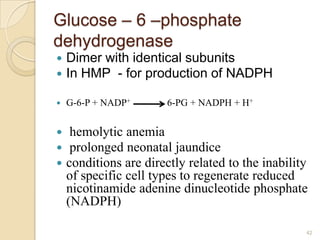 Glucose – 6 –phosphate
dehydrogenase
   Dimer with identical subunits
   In HMP - for production of NADPH

   G-6-P + NADP+       6-PG + NADPH + H+


    hemolytic anemia
    prolonged neonatal jaundice
   conditions are directly related to the inability
    of specific cell types to regenerate reduced
    nicotinamide adenine dinucleotide phosphate
    (NADPH)

                                                   42
 