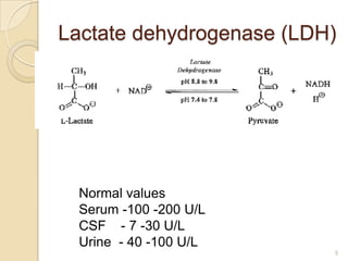 Lactate dehydrogenase (LDH)




  Normal values
  Serum -100 -200 U/L
  CSF - 7 -30 U/L
  Urine - 40 -100 U/L
                          5
 