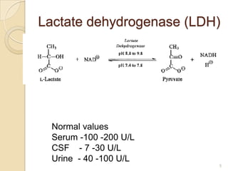 Lactate dehydrogenase (LDH)




  Normal values
  Serum -100 -200 U/L
  CSF - 7 -30 U/L
  Urine - 40 -100 U/L
            ...