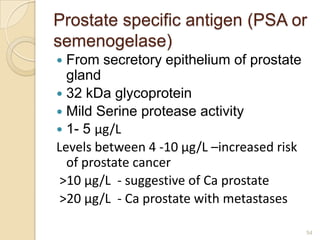 Prostate specific antigen (PSA or
semenogelase)
 From secretory epithelium of prostate
  gland
 32 kDa glycoprotein
 Mi...