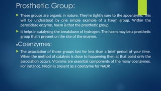 Prosthetic Group Examples Biomolecules in the Biochemistry of Enzymes | PPTX
