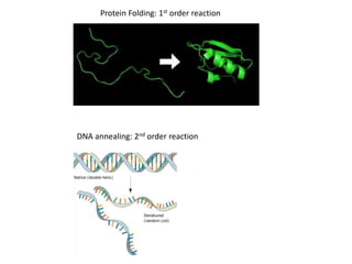 Protein Folding: 1st order reaction
DNA annealing: 2nd order reaction
 
