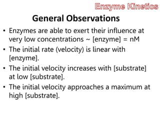 General Observations
• Enzymes are able to exert their influence at
very low concentrations ~ [enzyme] = nM
• The initial rate (velocity) is linear with
[enzyme].
• The initial velocity increases with [substrate]
at low [substrate].
• The initial velocity approaches a maximum at
high [substrate].
 