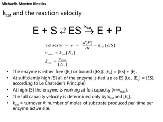 E + S  ES  E + P
• The enzyme is either free ([E]) or bound ([ES]): [Eo] = [ES] + [E].
• At sufficiently high [S] all of the enzyme is tied up as ES (i.e., [Eo] ≈ [ES],
according to Le Chatelier's Principle)
• At high [S] the enzyme is working at full capacity (v=vmax).
• The full capacity velocity is determined only by kcat and [Eo].
• kcat = turnover #: number of moles of substrate produced per time per
enzyme active site.

kcat
velocity = v =
d[P]
dt
= kcat [ES]
vmax = kcat [E0 ]
kcat =
vmax
[E0 ]
kcat and the reaction velocity
Michaelis-Menten Kinetics
 