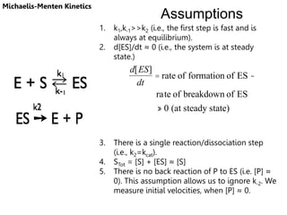 Assumptions
1. k1,k-1>>k2 (i.e., the first step is fast and is
always at equilibrium).
2. d[ES]/dt ≈ 0 (i.e., the system is at steady
state.)
3. There is a single reaction/dissociation step
(i.e., k2=kcat).
4. STot = [S] + [ES] ≈ [S]
5. There is no back reaction of P to ES (i.e. [P] ≈
0). This assumption allows us to ignore k-2. We
measure initial velocities, when [P] ≈ 0.
d[ES]
dt
= rate of formation of ES -
rate of breakdown of ES
» 0 (at steady state)
Michaelis-Menten Kinetics
 
