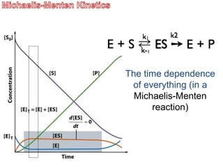 The time dependence
of everything (in a
Michaelis-Menten
reaction)
 
