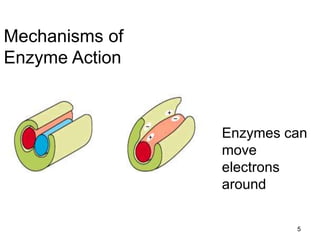 5
Mechanisms of
Enzyme Action
Enzymes can
move
electrons
around
 