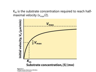 KM is the substrate concentration required to reach half-
maximal velocity (vmax/2).
 