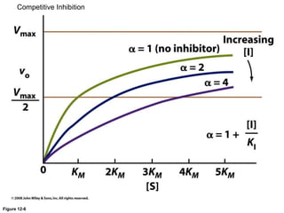 Figure 12-6
Competitive Inhibition
 