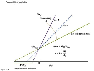 Figure 12-7
Competitive Inhibition
 