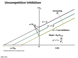 Figure 12-8
Uncompetitive Inhibition
 