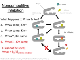 Noncompetitive
Inhibition
What happens to Vmax & Km?
a. Vmax same, Kmh
b. Vmax same, Kmi
c. Vmaxh, Km same
d. Vmaxi , Km same
X
http://en.wikipedia.org/wiki/Non-competitive_inhibition#mediaviewer/File:Non-competitive_inhibition.svg
No inhibitor
EI cannot be used;
Vmax = k2[E]with no inhibitor
 