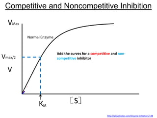 http://alevelnotes.com/Enzyme-Inhibitors/148
Competitive and Noncompetitive Inhibition
Vmax/2
V
Add the curves for a competitive and non-
competitive inhibitor
 