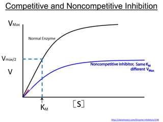 http://alevelnotes.com/Enzyme-Inhibitors/148
Competitive and Noncompetitive Inhibition
Vmax/2
V
 