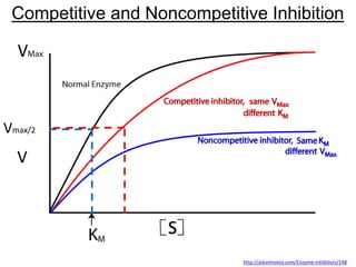 http://alevelnotes.com/Enzyme-Inhibitors/148
Competitive and Noncompetitive Inhibition
Vmax/2
V
 