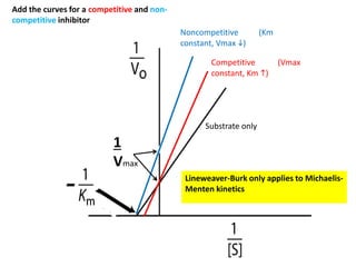 1
Vmax
Noncompetitive (Km
constant, Vmax i)
Competitive (Vmax
constant, Km h)
Substrate only
Add the curves for a competitive and non-
competitive inhibitor
Lineweaver-Burk only applies to Michaelis-
Menten kinetics
 