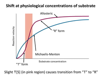 Shift at physiological concentrations of substrate
Allosteric
“T” form
Slight h[S] (in pink region) causes transition from “T” to “R”
Michaelis-Menten
“R” form
 