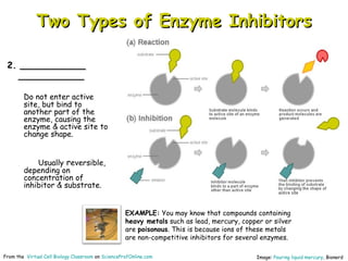Enzymes cell-biology-lecture-power point-vcbc | PPT