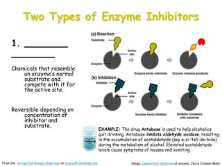 Enzymes-Cell-Biology-Lecture-PowerPoint-VCBC.ppt