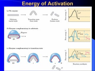 Energy of Activation
 