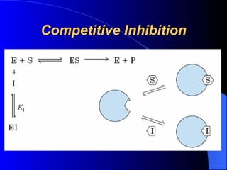 Competitive Inhibition
 