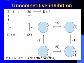 Uncompetitive inhibition




   E + S +I =ESI (No active complex)
 