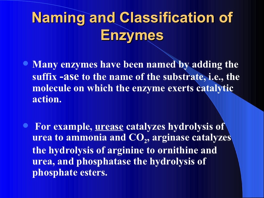 Enzymes. classification. isoenzymes