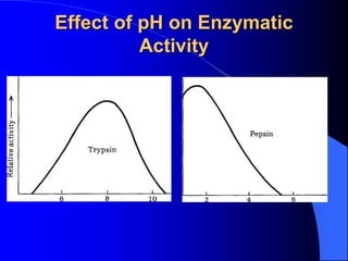 Effect of pH on Enzymatic
Activity
 