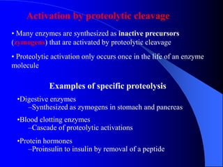 Activation by proteolytic cleavage
• Many enzymes are synthesized as inactive precursors
(zymogens) that are activated by proteolytic cleavage
• Proteolytic activation only occurs once in the life of an enzyme
molecule
Examples of specific proteolysis
•Digestive enzymes
–Synthesized as zymogens in stomach and pancreas
•Blood clotting enzymes
–Cascade of proteolytic activations
•Protein hormones
–Proinsulin to insulin by removal of a peptide
 