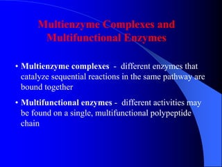 • Multienzyme complexes - different enzymes that
catalyze sequential reactions in the same pathway are
bound together
• Multifunctional enzymes - different activities may
be found on a single, multifunctional polypeptide
chain
Multienzyme Complexes and
Multifunctional Enzymes
 
