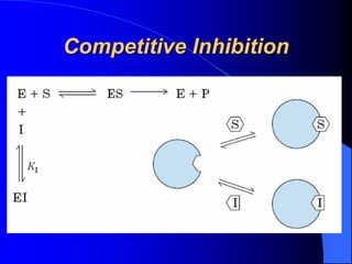 Competitive Inhibition
 