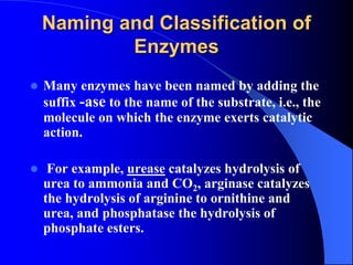 Naming and Classification of
Enzymes
 Many enzymes have been named by adding the
suffix -ase to the name of the substrate, i.e., the
molecule on which the enzyme exerts catalytic
action.
 For example, urease catalyzes hydrolysis of
urea to ammonia and CO2, arginase catalyzes
the hydrolysis of arginine to ornithine and
urea, and phosphatase the hydrolysis of
phosphate esters.
 